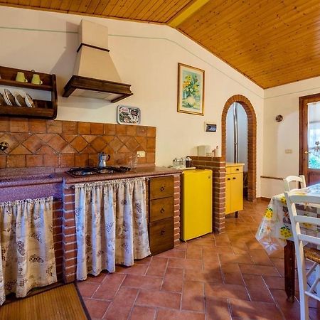 Гостевой дом Agriturismo Il Feudo Гроссето Экстерьер фото